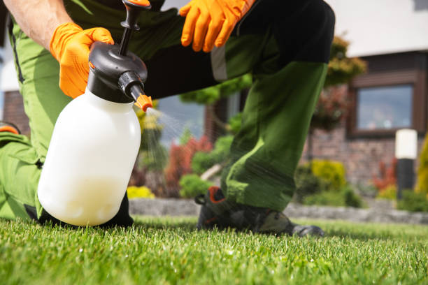 Best Pest Control Near Me in Greenville, TX