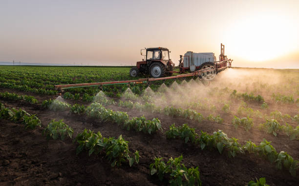 Best Mosquito Control Services  in Greenville, TX