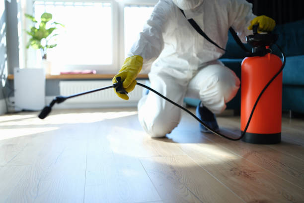 Insect Control in Greenville, TX