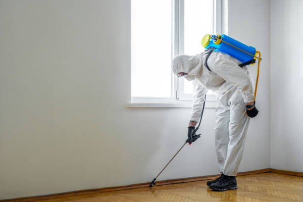 Best Pest Control for Homes  in Greenville, TX