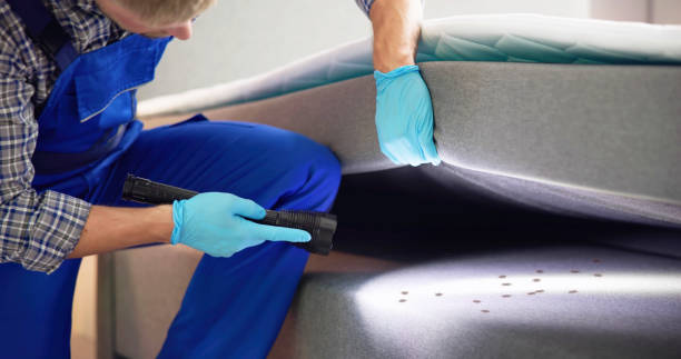 Best Local Pest Control Services  in Greenville, TX
