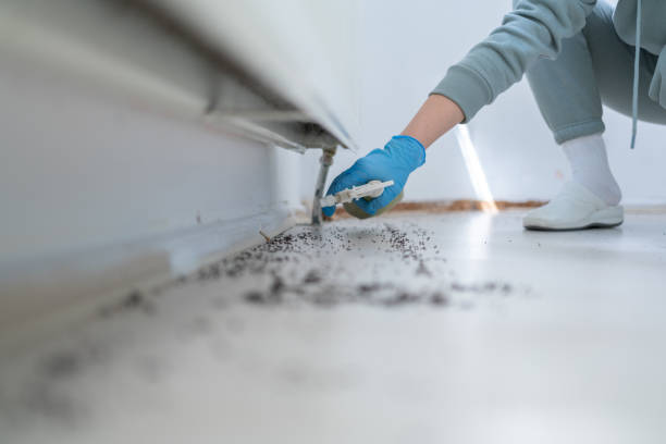 Trusted Greenville, TX Pest Control Experts